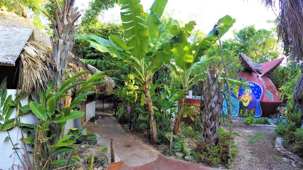La Casa De Los Ninos Del Arbol Hotell Bacalar Exteriör bild
